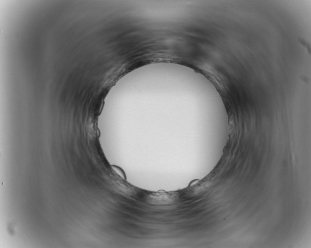 X0000099310381200805020737