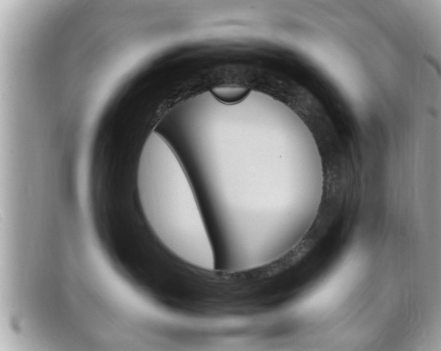 X0000099310383200805020737