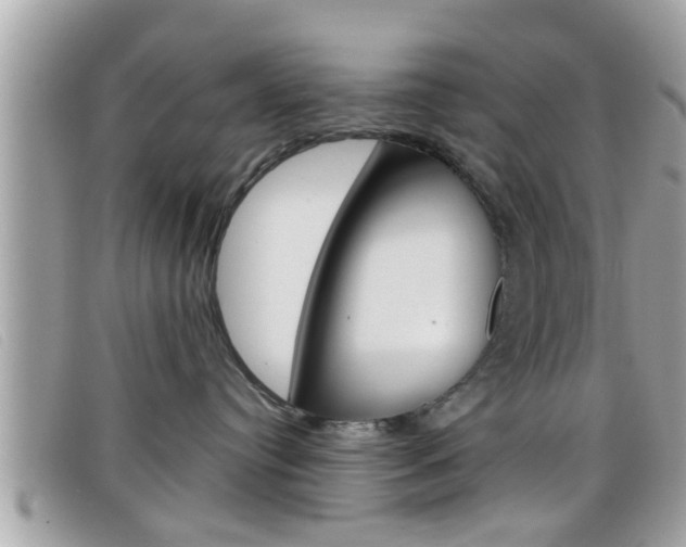 X0000099310384200805020737
