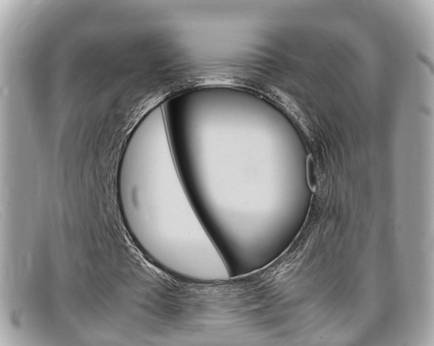 X0000099310385200805020736