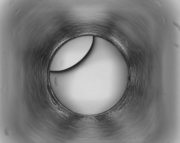 X0000099310386200805020736
