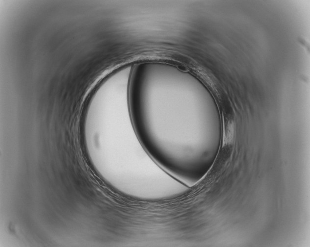 X0000099310387200805020736