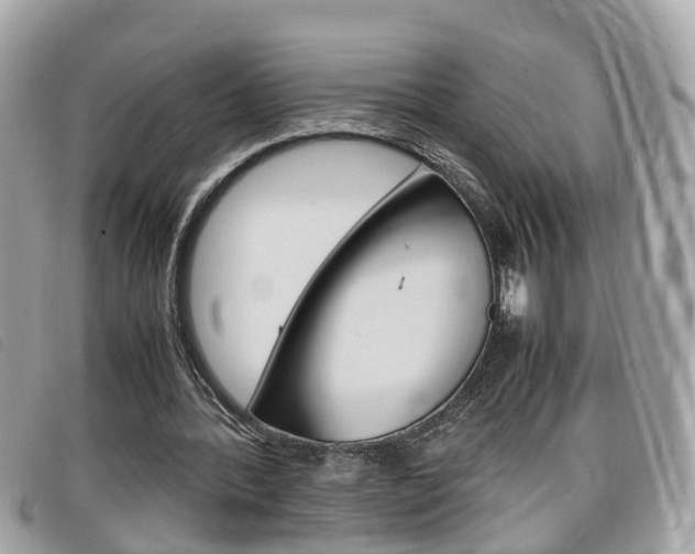 X0000099310388200805020736