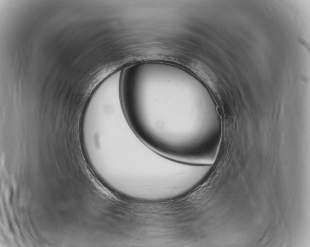 X0000099310389200805020736