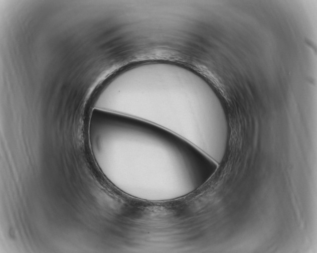 X0000099310392200805020736