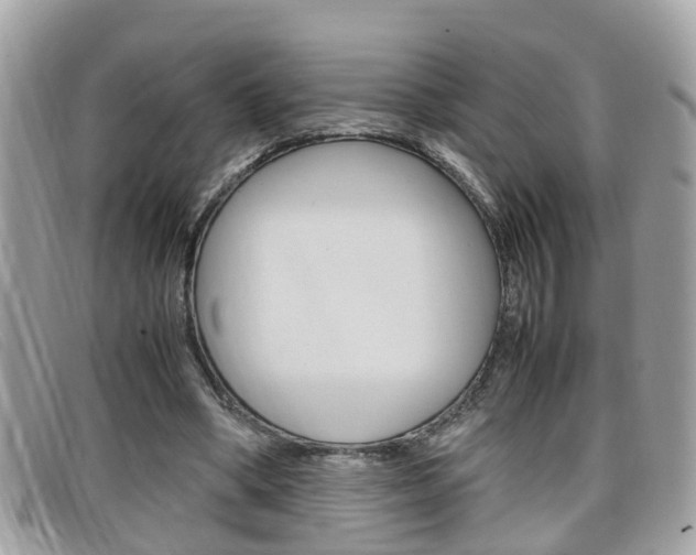 X0000099310394200805020736