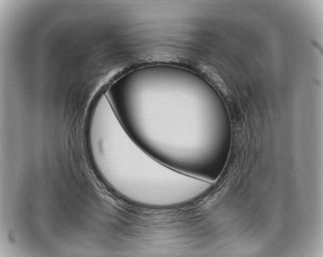 X0000099310395200805020736
