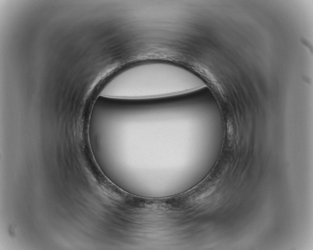 X0000099310396200805020736
