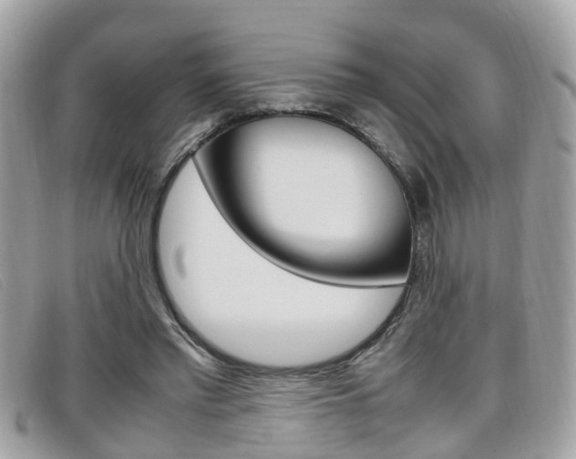 X0000099310397200805020736