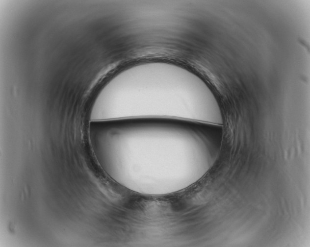 X0000099310400200805020736