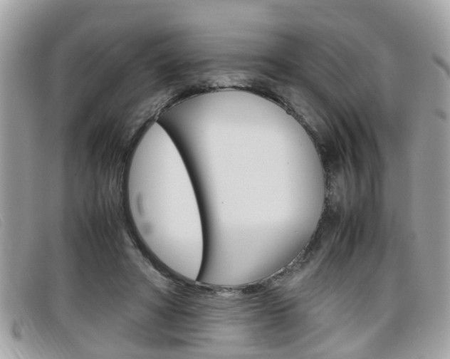 X0000099310402200805020736