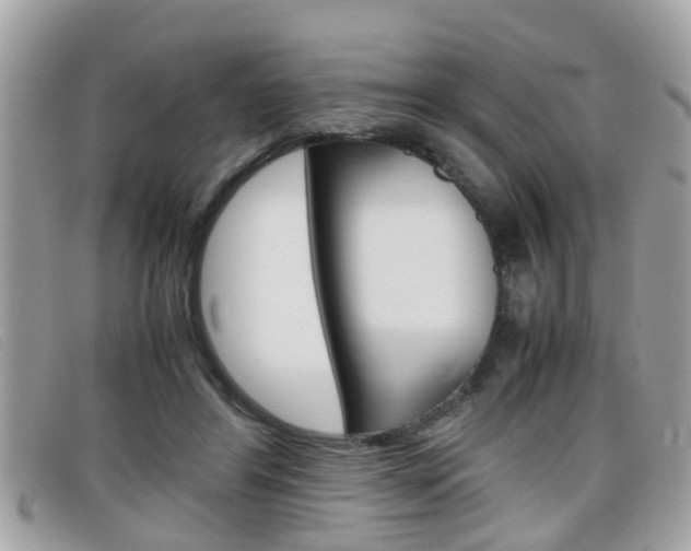 X0000099310404200805020736