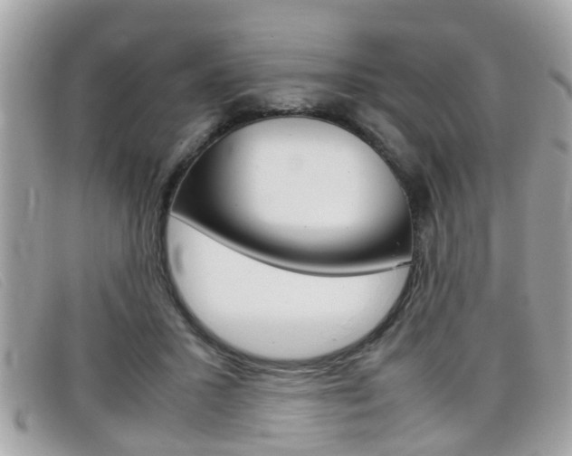 X0000099310407200805020736