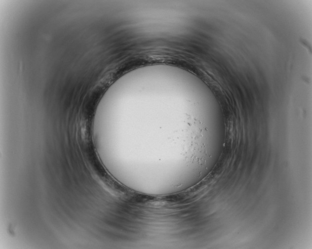 X0000099310408200805020736