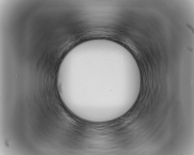 X0000099310411200805020736