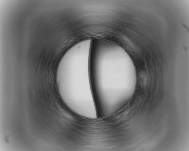 X0000099310412200805020736