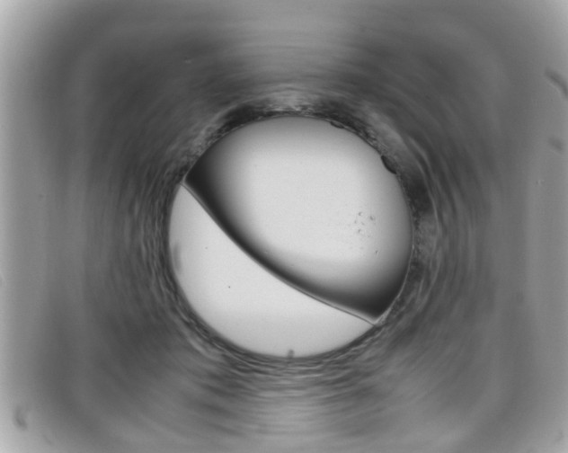 X0000099310413200805020736