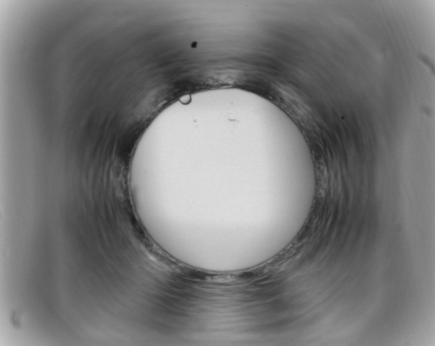 X0000099310414200805020736