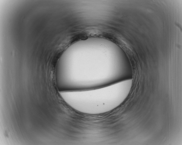 X0000099310417200805020736