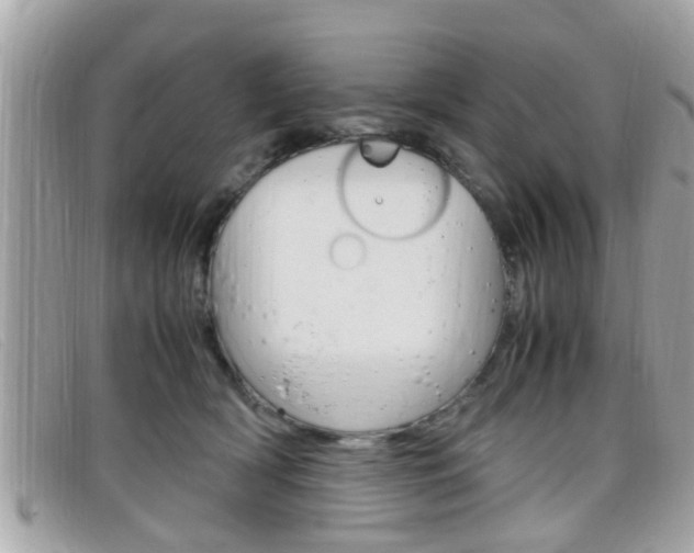 X0000099310418200805020736