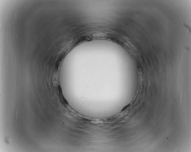 X0000099310419200805020736
