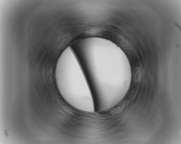 X0000099310420200805020736