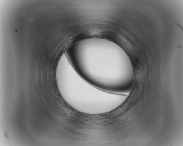 X0000099310421200805020736