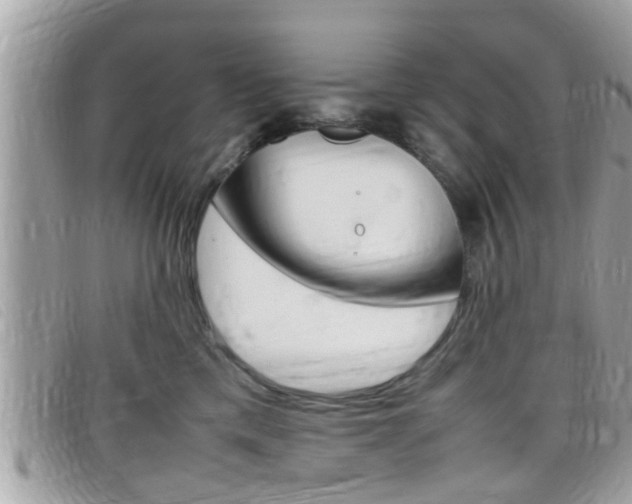 X0000099310425200805020736