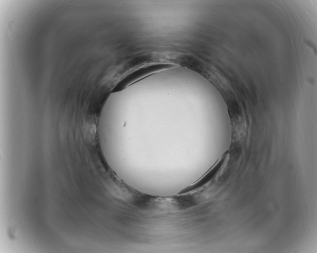 X0000099310427200805020736