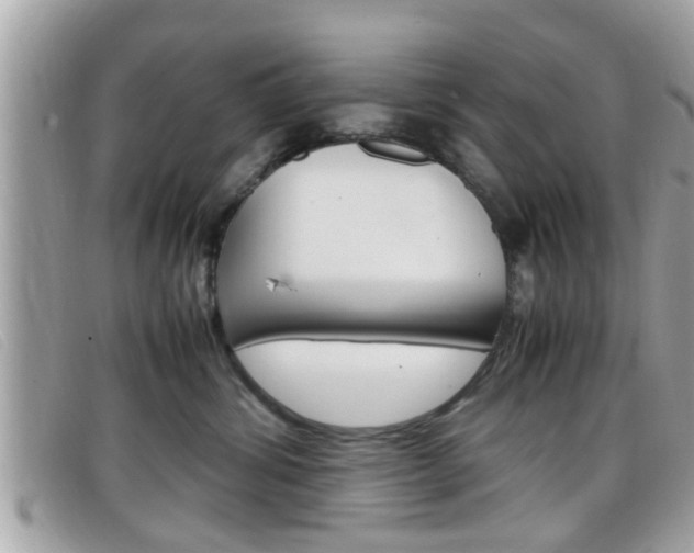 X0000099310428200805020736