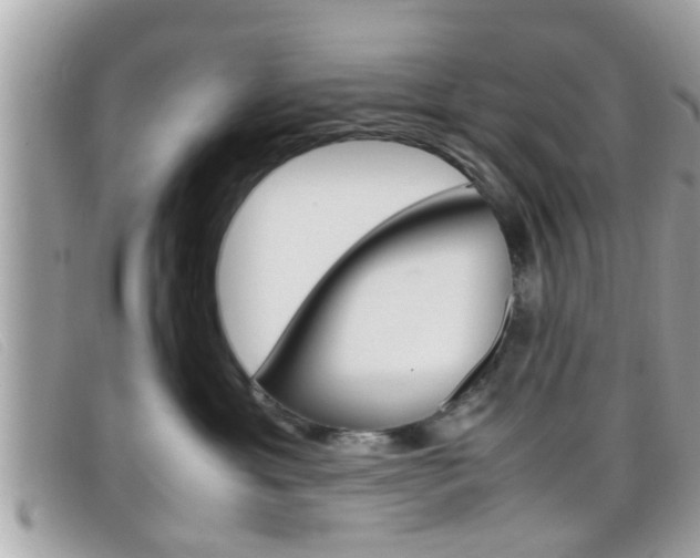 X0000099310429200805020736