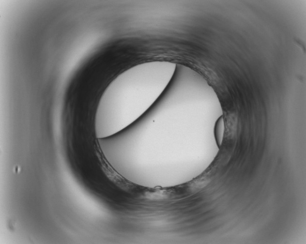 X0000099310430200805020736