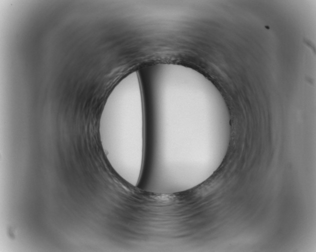 X0000099310432200805020736