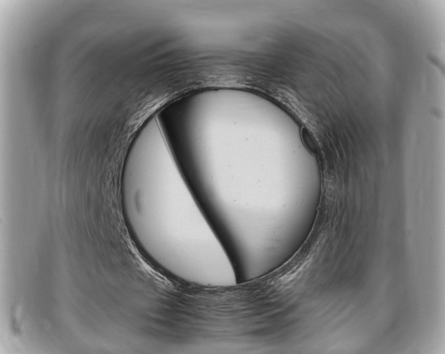 X0000099310433200805020735
