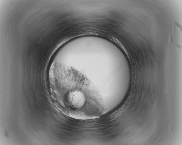 X0000099310435200805020735