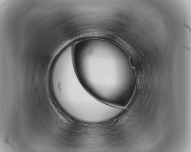 X0000099310436200805020735