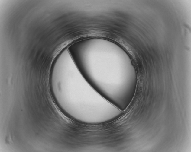 X0000099310437200805020735