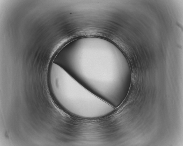 X0000099310438200805020735