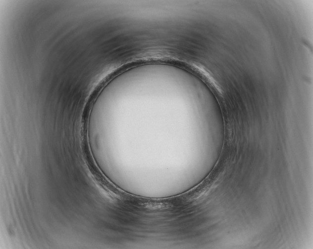 X0000099310439200805020735