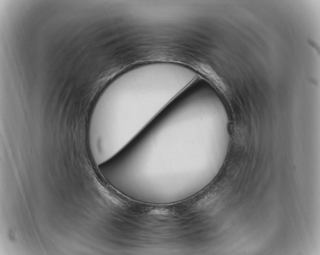X0000099310441200805020735