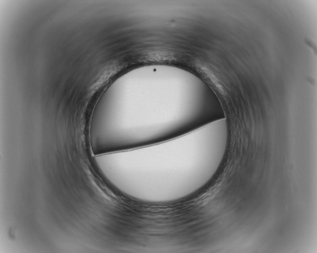 X0000099310443200805020735