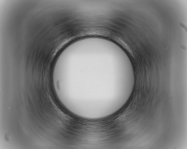 X0000099310444200805020735