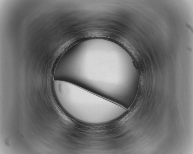 X0000099310445200805020735