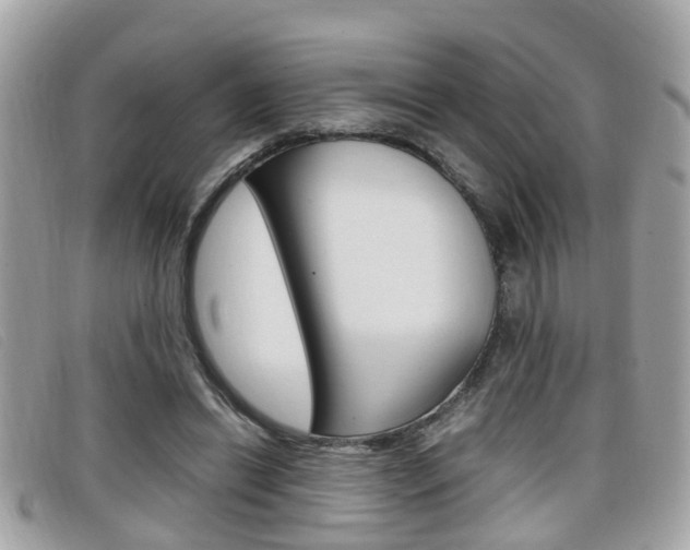 X0000099310446200805020735