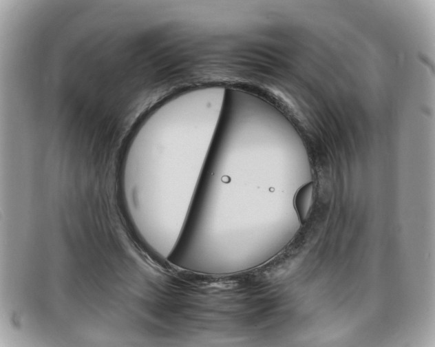 X0000099310447200805020735