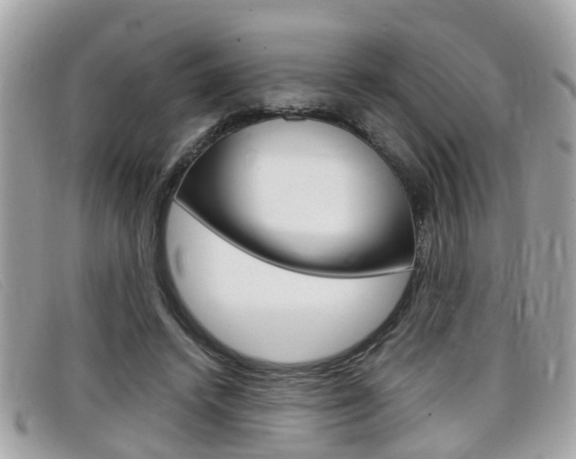 X0000099310448200805020735