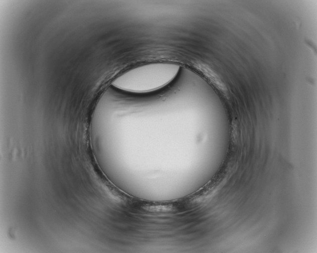 X0000099310449200805020735
