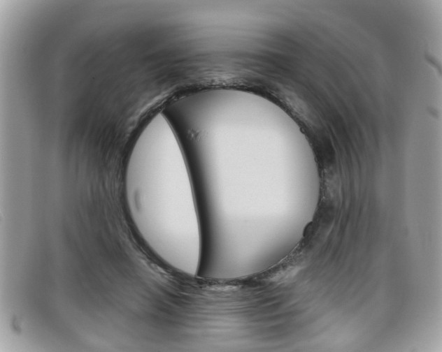 X0000099310450200805020735