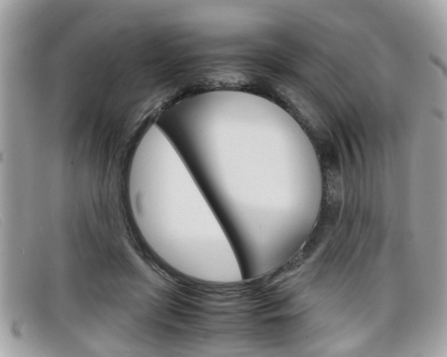 X0000099310451200805020735