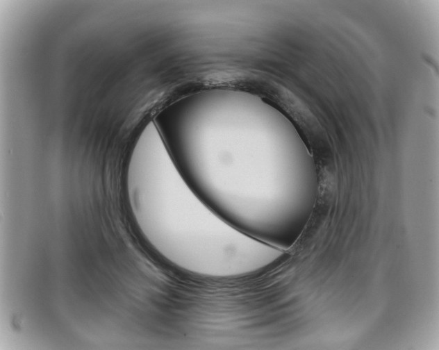 X0000099310452200805020735